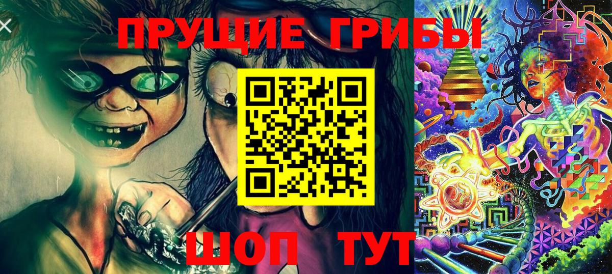 Галлюциногенные грибы Psilocybine cubensis Вязьма